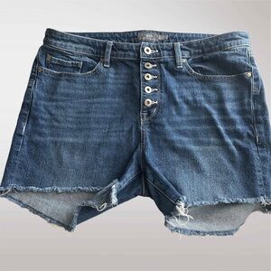 Torrid Feel the Fit High Rise Denim Shorts | Button Fly Raw Hem | 16S